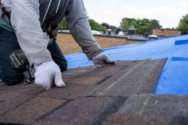 Best Tile Roofing Contractor  in Hiawatha, KS